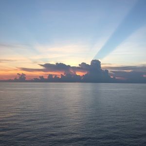 Meet your Posher, Nicolette